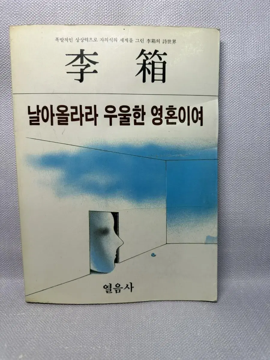 이상 시선 날아올라라 우울한 영혼이여/열음사/1986년초판